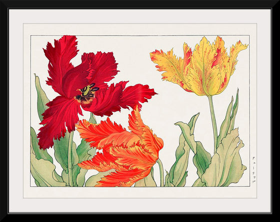 "Parrot tulip", Tanigami Konan