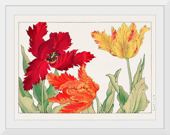 "Parrot tulip", Tanigami Konan