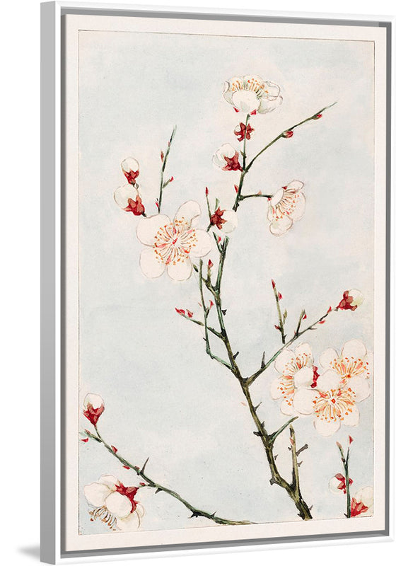 "Plum Branches with Blossoms during 1870-1880", Megata Morikaga