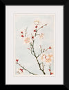 "Plum Branches with Blossoms during 1870-1880", Megata Morikaga