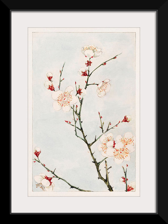 "Plum Branches with Blossoms during 1870-1880", Megata Morikaga