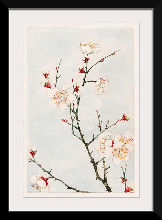 "Plum Branches with Blossoms during 1870-1880", Megata Morikaga