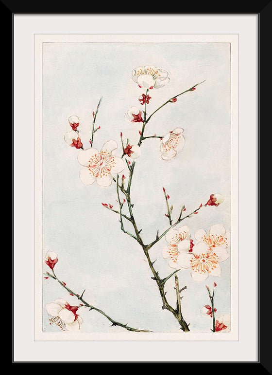 "Plum Branches with Blossoms during 1870-1880", Megata Morikaga