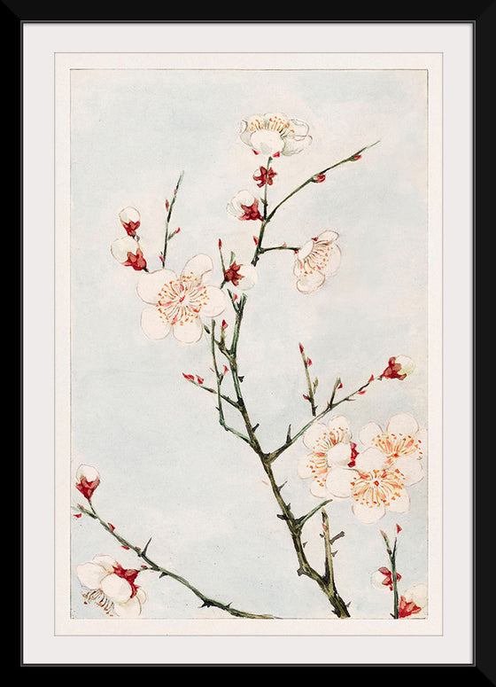 "Plum Branches with Blossoms during 1870-1880", Megata Morikaga