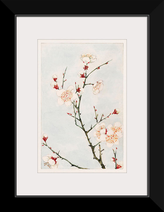 "Plum Branches with Blossoms during 1870-1880", Megata Morikaga