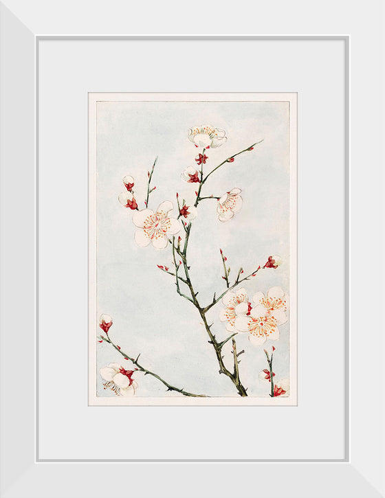 "Plum Branches with Blossoms during 1870-1880", Megata Morikaga