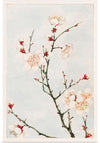 "Plum Branches with Blossoms during 1870-1880", Megata Morikaga