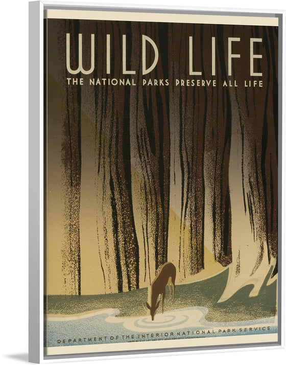 "Wild Life"