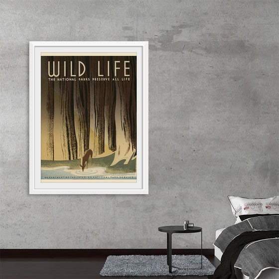 "Wild Life"