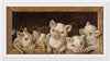 "Vintage Piglet Piggy Luck"