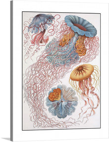  “Jellyfish Coral Reef” is a stunning artwork that captures the ethereal beauty of underwater life. The piece features various types of intricately drawn jellyfish with detailed and colorful tentacles, each distinct in shape, size, and color. 