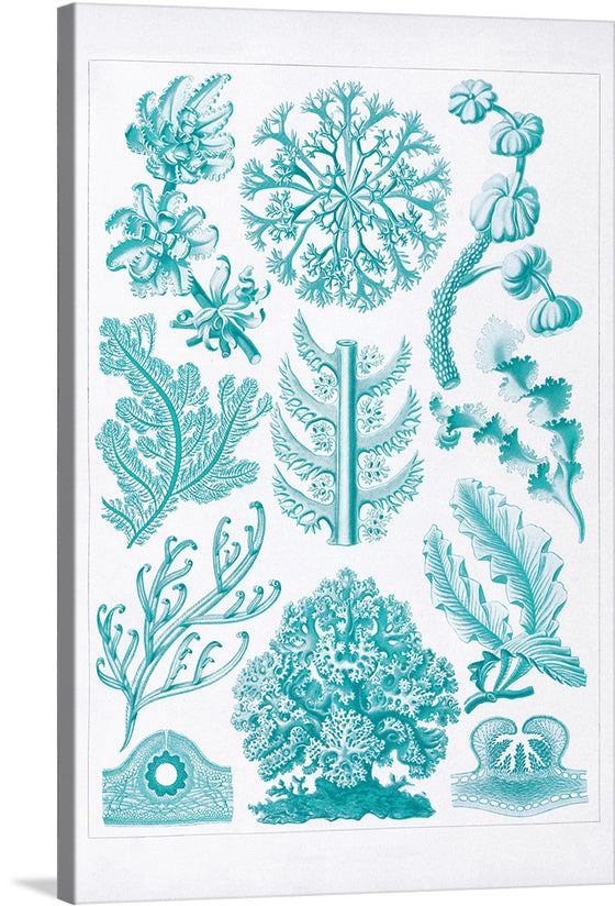 Dive into a world where art and nature intertwine, with “Botanical Symphony,” an exquisite print that celebrates the intricate beauty of diverse plant species. Each illustration is a testament to the delicate details found in nature’s creations, rendered in a soothing teal hue that evokes a sense of calm and serenity. 