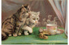 "Afternoon Tea Cats 1910"