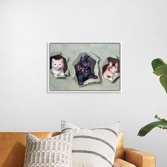 "Feline Frames"