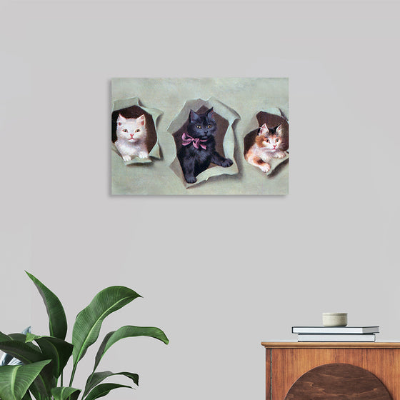 "Feline Frames"