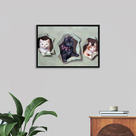 "Feline Frames"