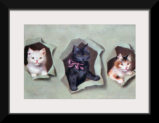 "Feline Frames"