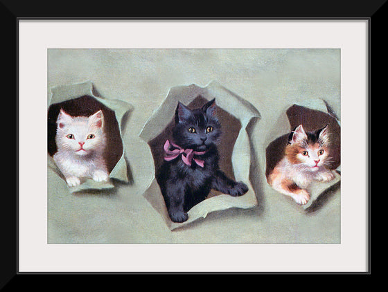 "Feline Frames"