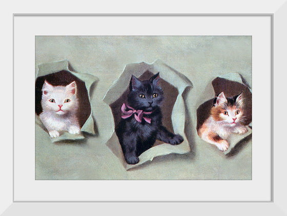 "Feline Frames"