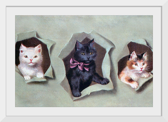 "Feline Frames"