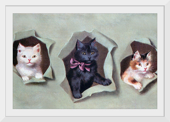 "Feline Frames"