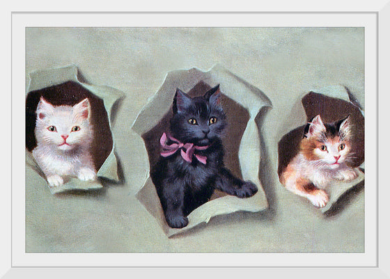 "Feline Frames"