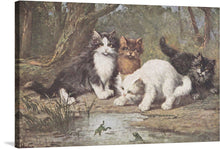  This charming watercolor painting captures the playful curiosity of four kittens as they investigate a bright green frog jumping. The kittens, rendered in soft washes of orange, brown, and black, tumble over each other in their eagerness to get a closer look.