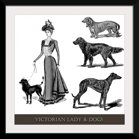 "Victorian Lady & Dogs"