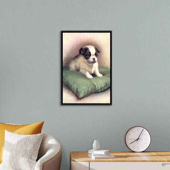 "Japanese Chin (1912)"