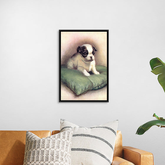 "Japanese Chin (1912)"