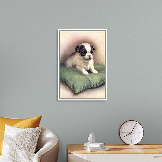 "Japanese Chin (1912)"