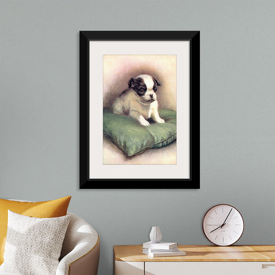 "Japanese Chin (1912)"