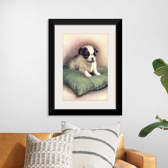 "Japanese Chin (1912)"