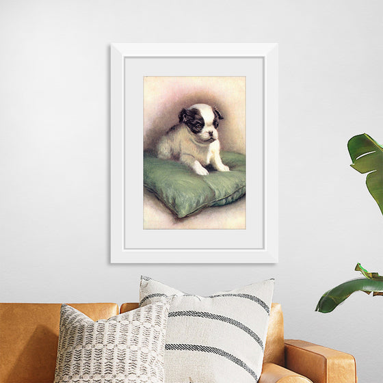 "Japanese Chin (1912)"