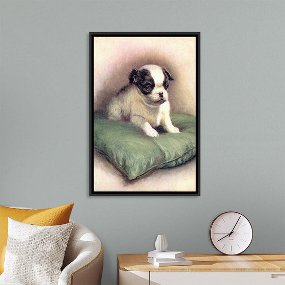 "Japanese Chin (1912)"