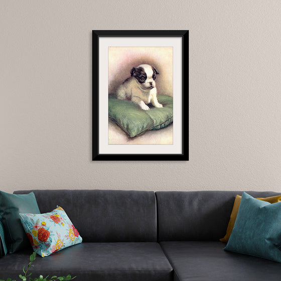 "Japanese Chin (1912)"