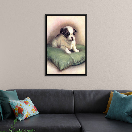 "Japanese Chin (1912)"