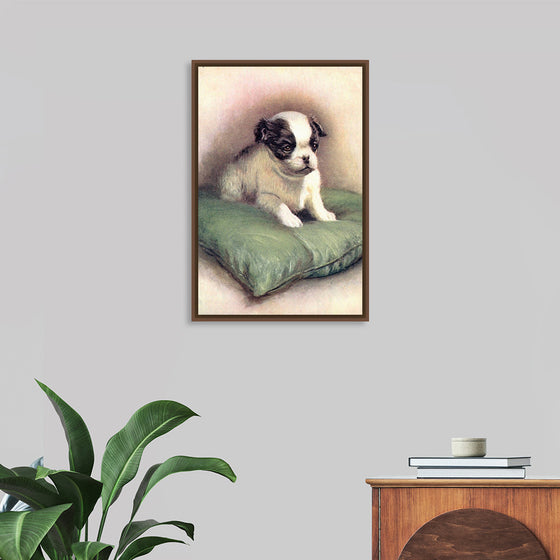 "Japanese Chin (1912)"