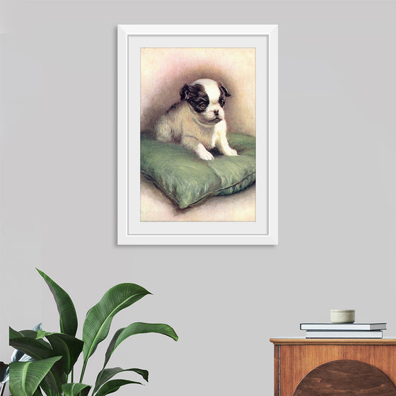 "Japanese Chin (1912)"