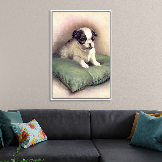 "Japanese Chin (1912)"