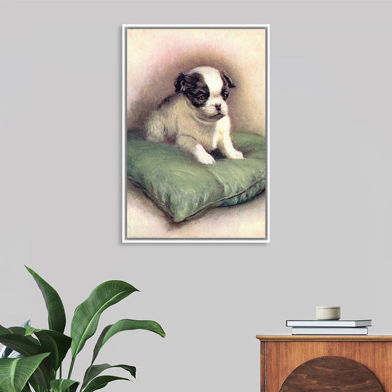 "Japanese Chin (1912)"