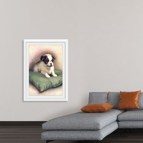 "Japanese Chin (1912)"