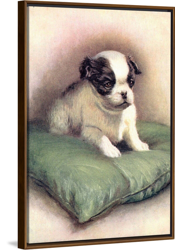 "Japanese Chin (1912)"