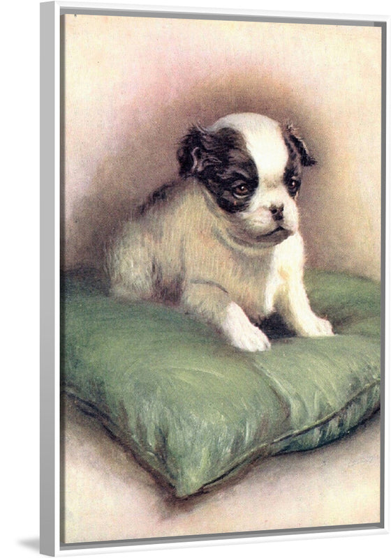 "Japanese Chin (1912)"