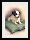 "Japanese Chin (1912)"