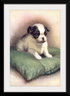 "Japanese Chin (1912)"