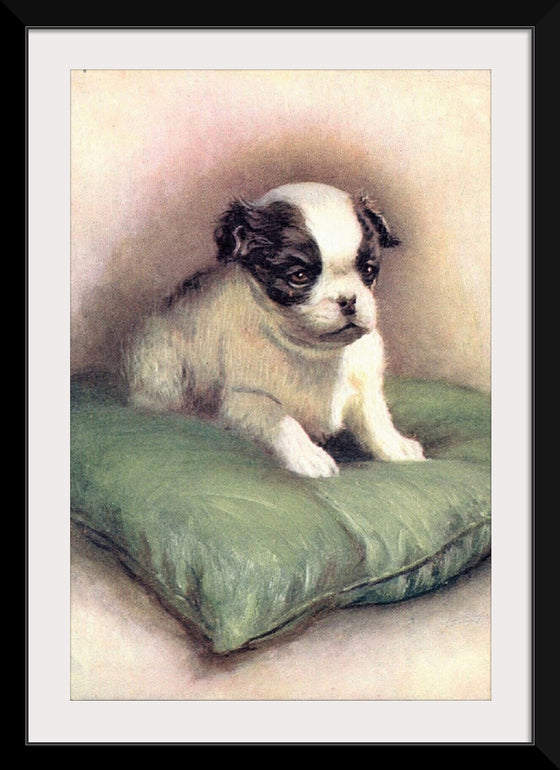 "Japanese Chin (1912)"