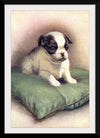 "Japanese Chin (1912)"