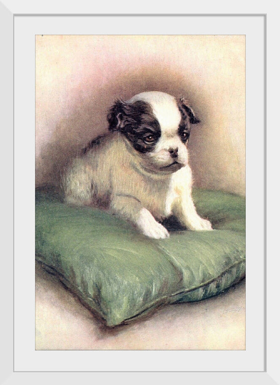 "Japanese Chin (1912)"