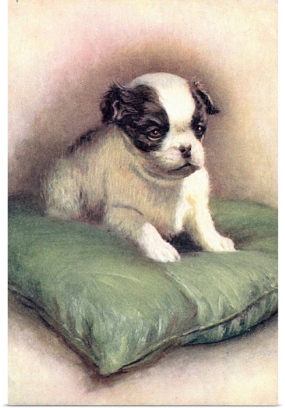 "Japanese Chin (1912)"